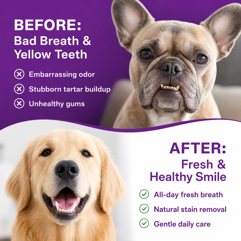 200g Pet Dental Powder Stain R - đánh giá và giá Teeth Whitening Powder