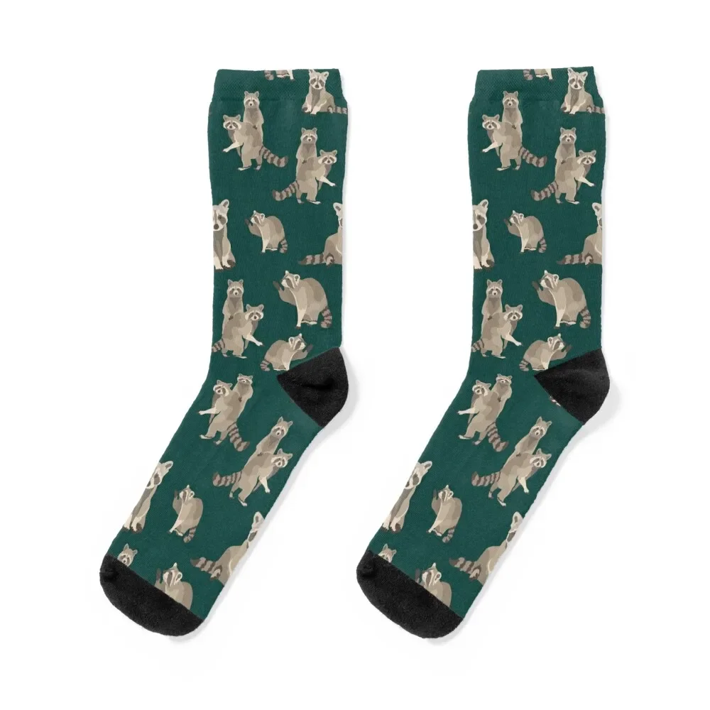 

RACOON NO 2 Socks Climbing christmas stocking Ladies Socks Men's