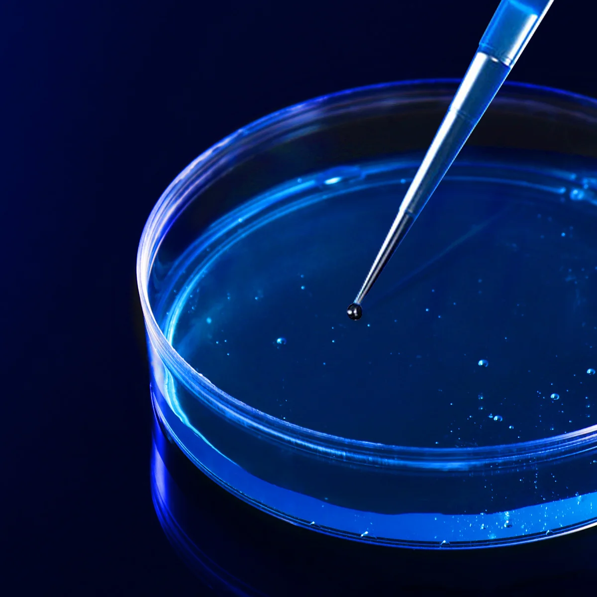 

Plastic Petri Dish Petri Dish Plastic Plastic Petri Dish with Lid Culture Dish Culture Dish with Lid