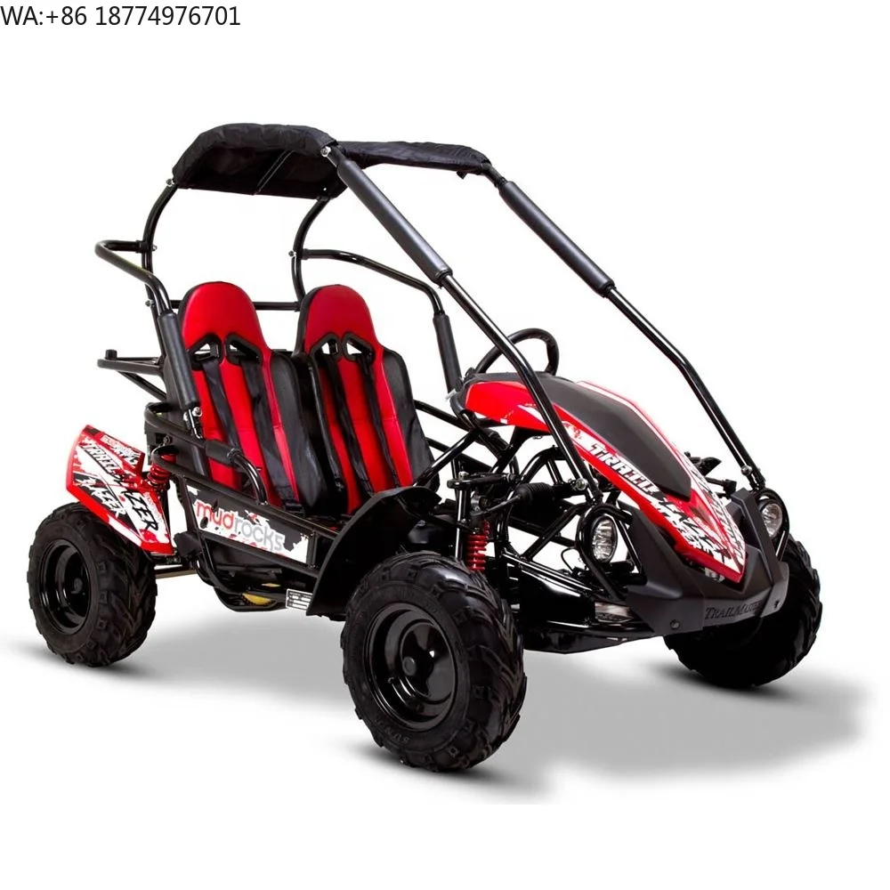 Tao Motor 200cc Motor 125cc Automatic Hyper Go H14bm 1/14 Brushless Rc Cars for Adults F Mini Car 150 Cc 36V Buggy 150cc 10inch
