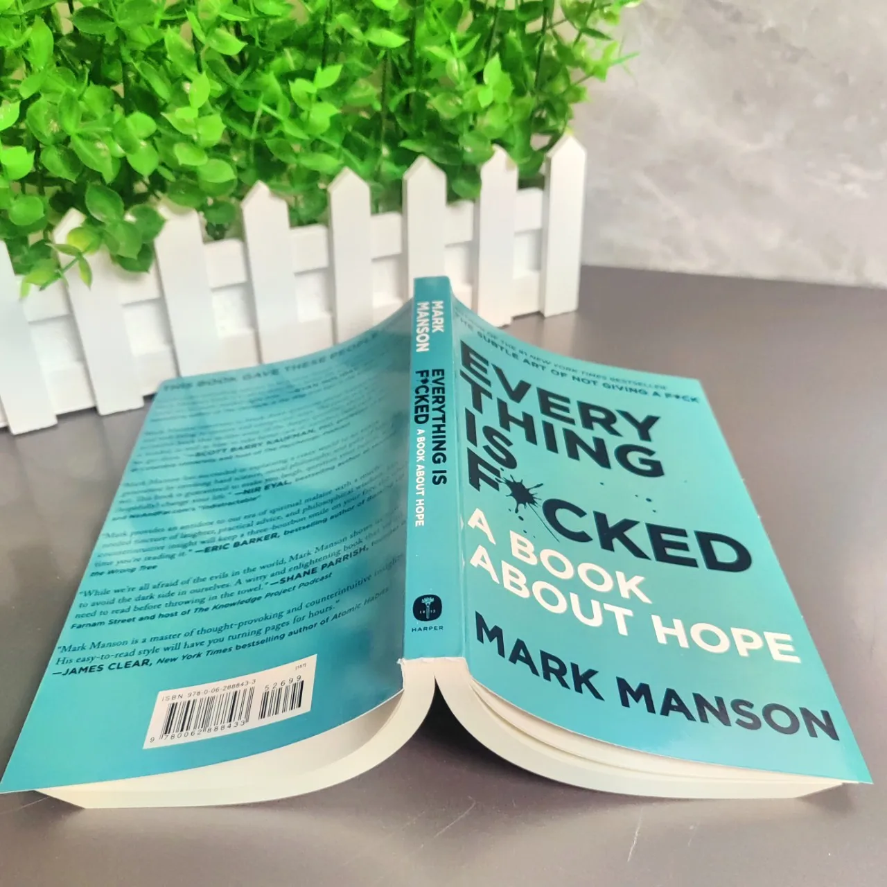 The Subtle Art of Not Giving A F*ck / Every Thing Is F*cked By Mark Manson Self Management Stress Relief a book about hope