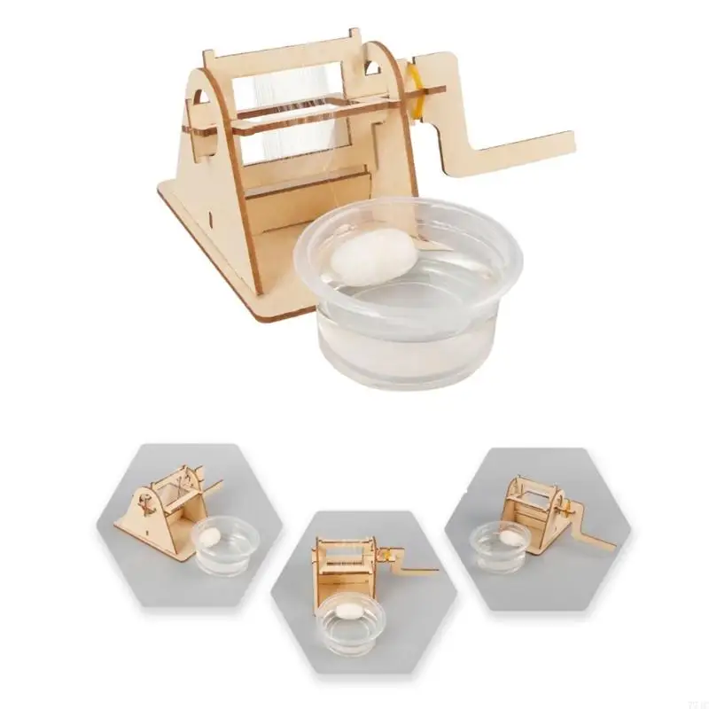 Wooden Silkworm Life Cycle Model Building Set For Children Biology Education 77JC