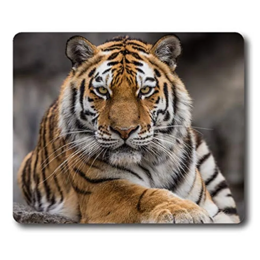 

Mouse Pad Siberian Tiger Gaming Personality Rectangle Mouse Mat Non-Slip Rubber Mousepad