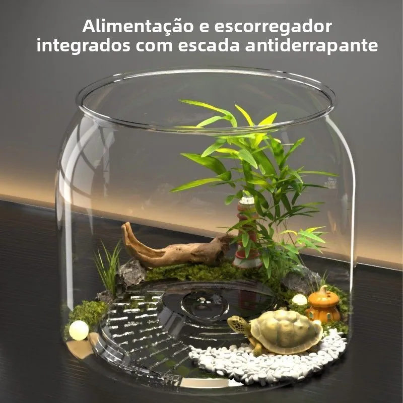 生態学的観賞魚水槽-丸型プラスチック製-リビングルーム-家庭用水槽-魚と植物観察用-小型卓上-透明装飾
