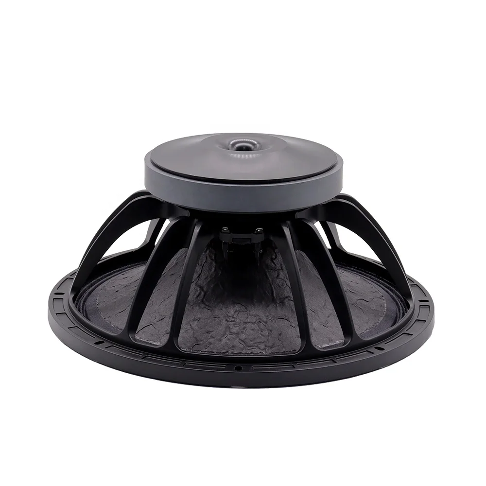 

15 Inch Woofer Speaker 1000W 3 Inch Voice Coil Professional Sound System Outdoor Speaker