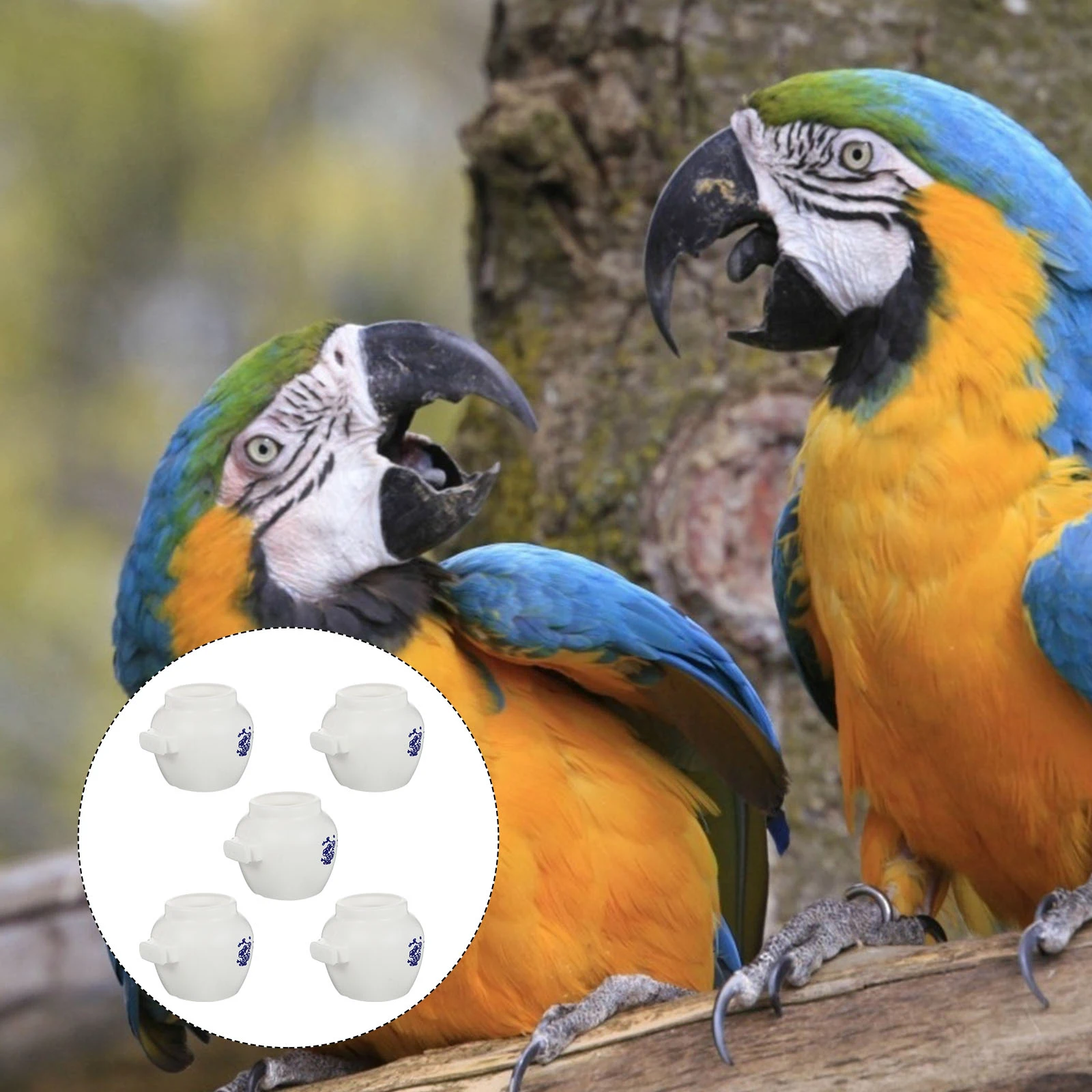 

5pcs Bowl Durable Food Dishes Parrot Food Dish Cage Accessories Easy Install Remove Feeder Holder Plastic Pet Supplies