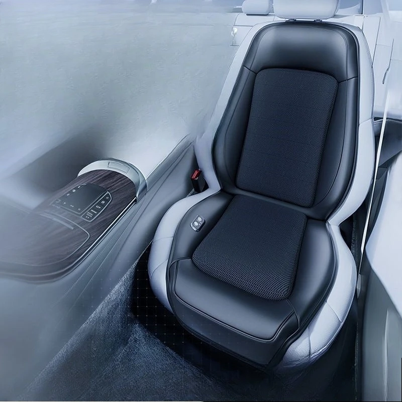 

Backrest ventilated seat cushion, refrigerated seat cushion