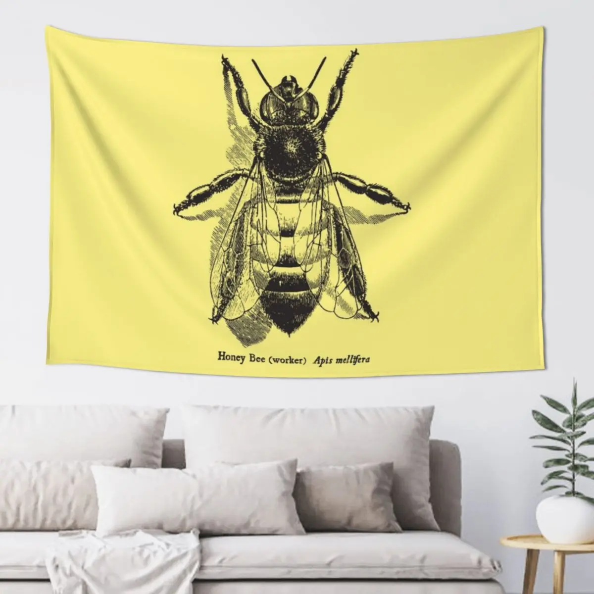 Honey Bee -Vintage Scientific Illustration Tapestry Wall Decoration Home Decor Aesthetic Tapestry