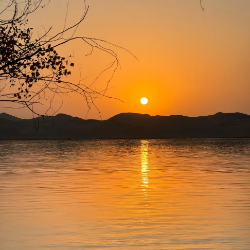 Wireless Calling System with 20 Receivers Restaurant Waiter Pager Call Customer Queue System for Hospital Cafe Milk Tea Shop