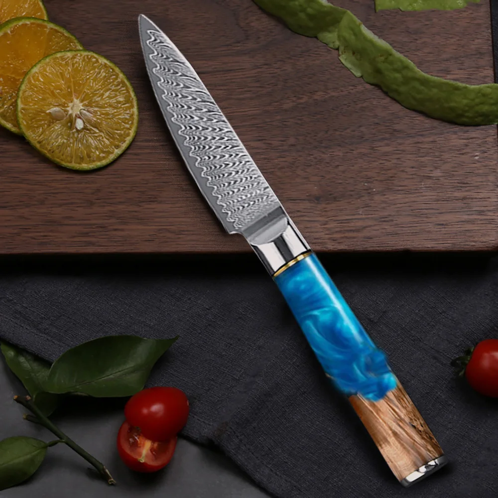 3.5 Inch Paring Knife VG10 Damascus Steel Sharp Fruit Knife for Cutting Fruit and Vegetables Kitchen Peeling Knife