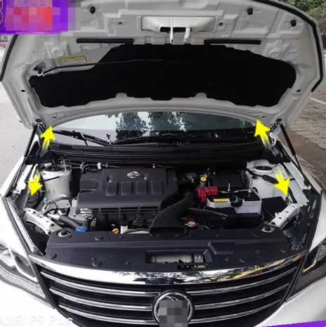 

1 комплект газовых стоек для Aeolus A60 для Evolute i-Pro 2012-2014, передний капот, подъемная опора, демпфер, амортизатор, опорные стержни