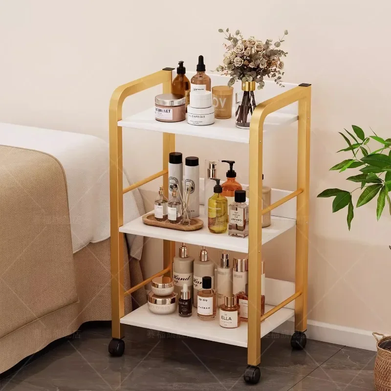 Professional Beauty Cart with Storage Trolley for Salon Equipment Mobile Multi Purpose Beauty Case on Wheels Salon Trolley Cart