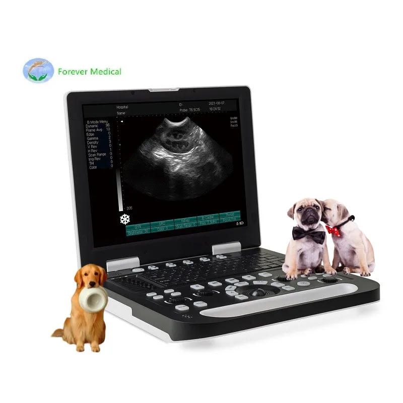 Vet Ultrasound Portable Medical Ultrasound Instruments Portable Black White Ultrasound Machine Price 15 Inches Large Screen