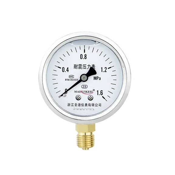 YN60 1-600 Bar 2.5% High-Precision Manometer Pressure Gauge 60mm Fuel Pressure Tester Glycerol Filling Pressure Meter