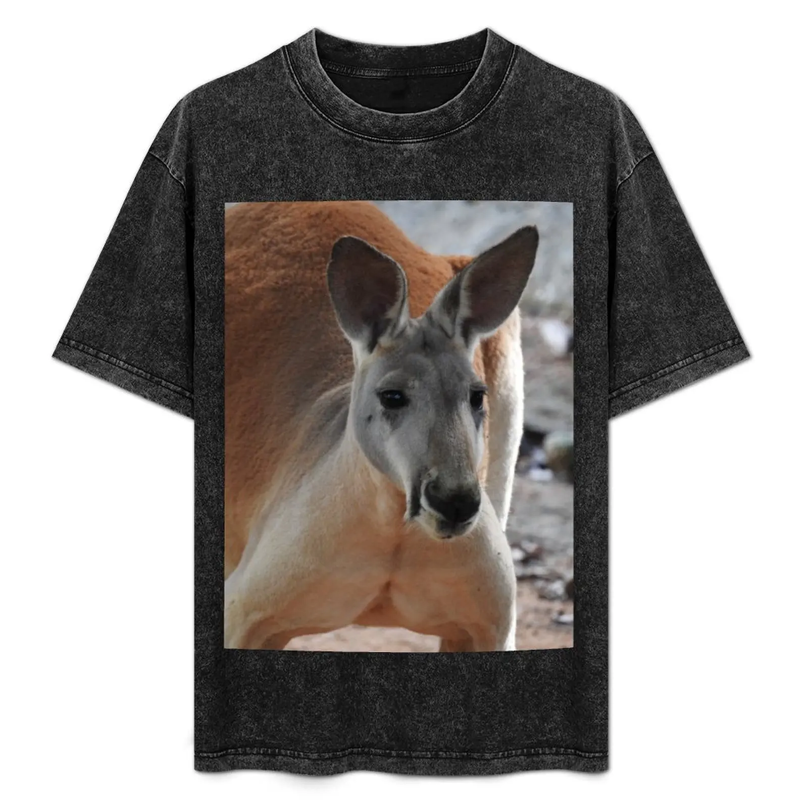 

Red Kangaroo T-Shirt customs boys animal print cute tops oversized t shirt mens t shirts pack