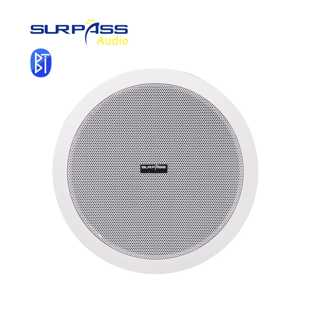 Top Built-in Class-D Amplifier Full Range Bluetooth-compatible Ceiling Speaker Horn For Home Theater Background Music Good