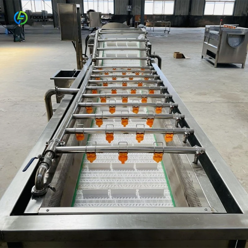 Fruit and Vegetable Bubble Cleaning Machine Stable Operation Vegetable Bubble Washing Unit FL Customized