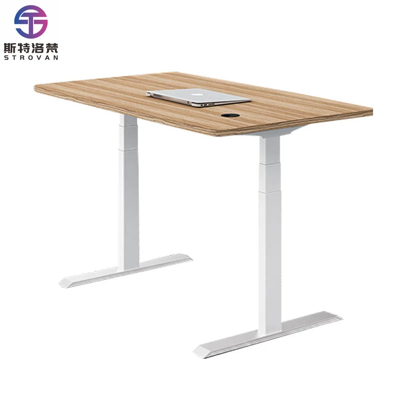 

Modern Style High Quality Durable Smart Height Electric Adjustable Ergonomic Steel Lifting Desk for Home Office & School