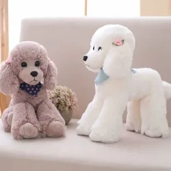 Cute poodle, simulation dog hand toys, teddy dog ornaments, living room room decorations, girls and children birthday gifts