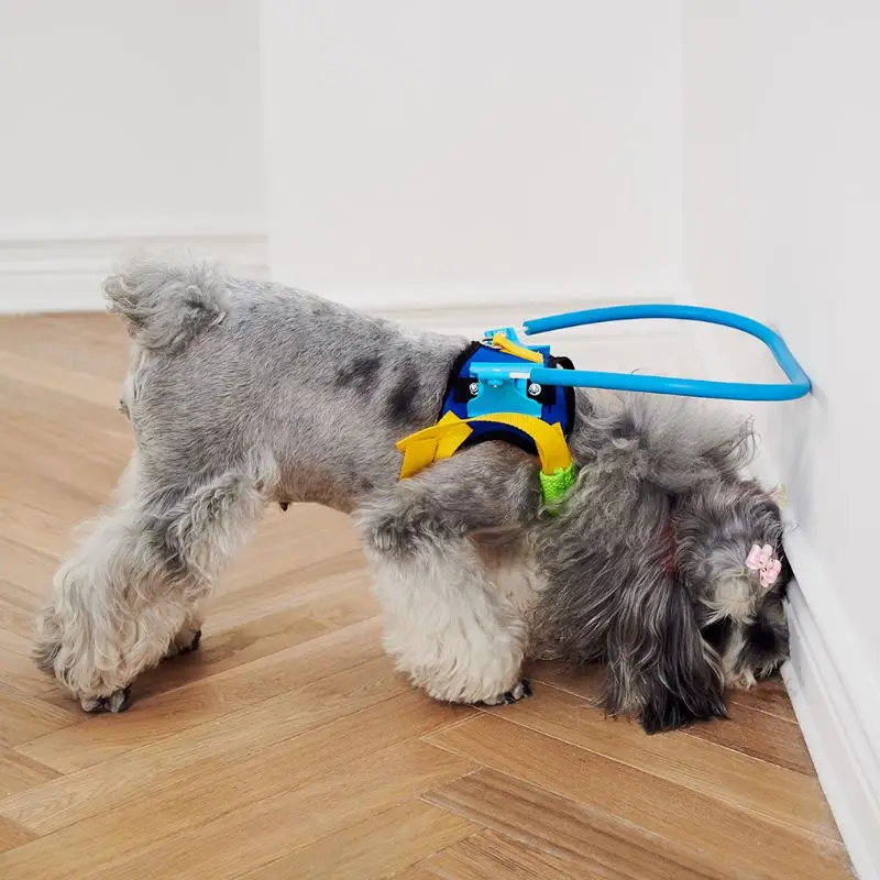 Blind Dog Harness Guiding Device Blind Dog  Pet Anti-Collision Ring Blind Dog Accessories XXS/XS/S/for M/L Adjustabl B03E