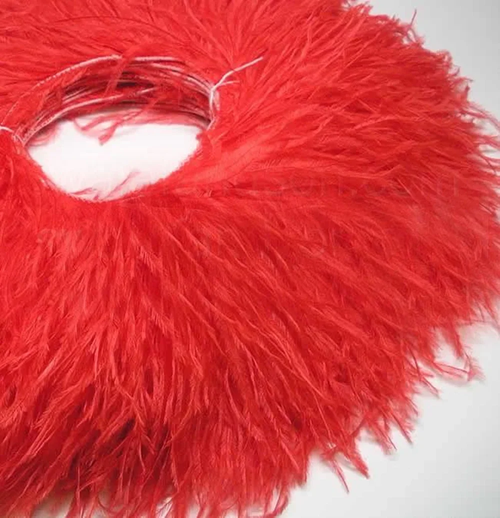 1M Red Ostrich Feather Trim Plumas Fringe Sew with Thread 10-15CM 15-18cm 18-22cm Long Ostrich Trim Costumes Dress Decoration