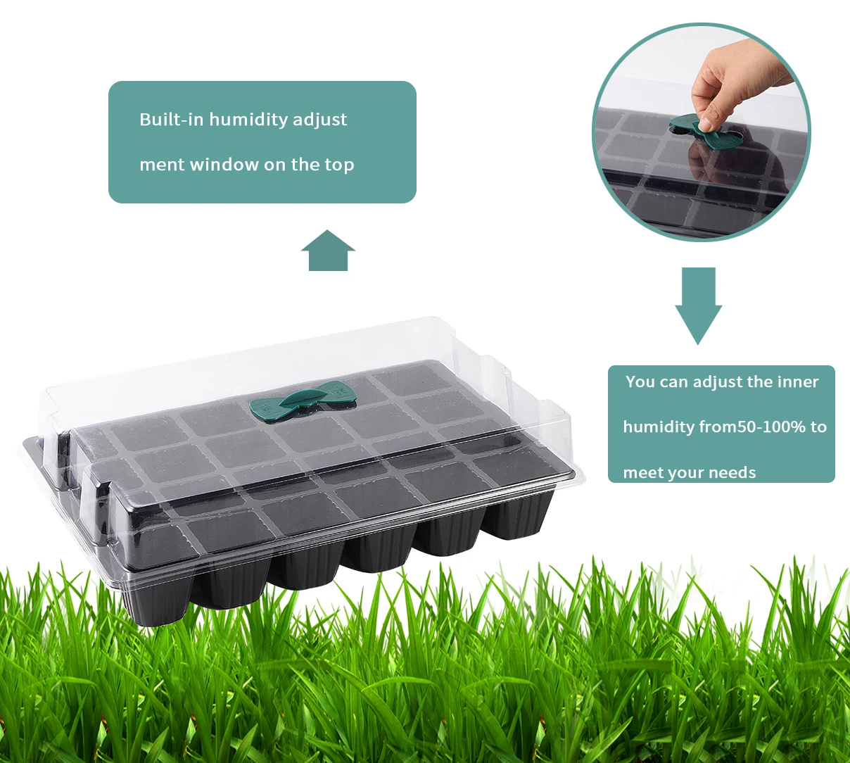 24 Cells Germination Box Kit Flower Vegetable Succulent Planting Nursery Pot With Planting Tools Seedling Cultivation Tray