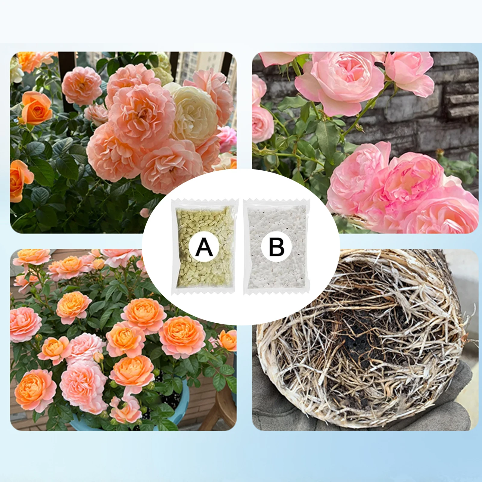 Hydroponic Plant Co… - image