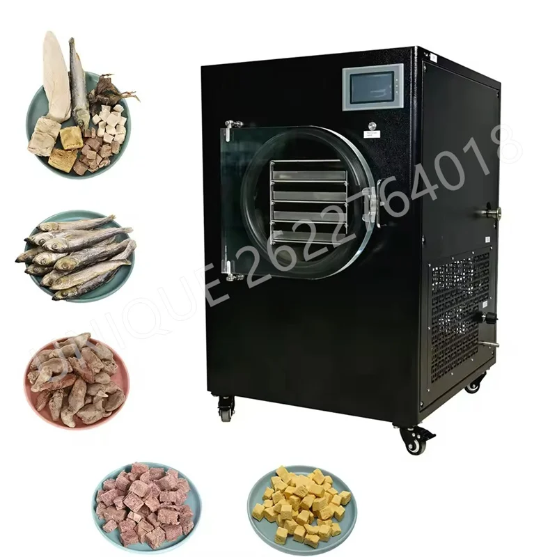 Small Vacuum Fruit Freeze Drying Dried Machines Mini Automatic Vegetables Lyophilizer Food Freezer Dryer