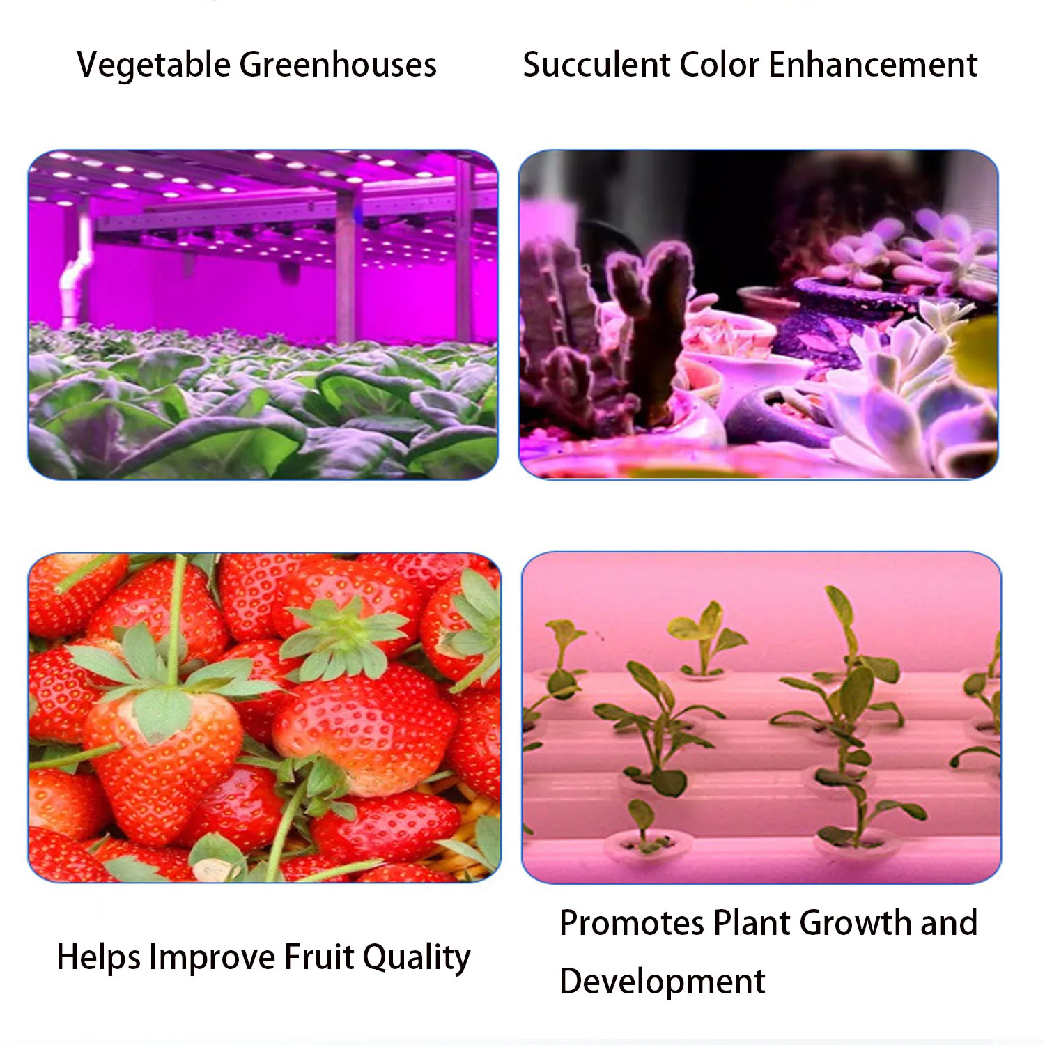 50/80/100/150 واط فيتو مصباح الطيف الكامل LED تنمو ضوء E27 أضواء النباتات Fitolamp للشتلات الداخلية زهرة تنمو خيمة GrowBox