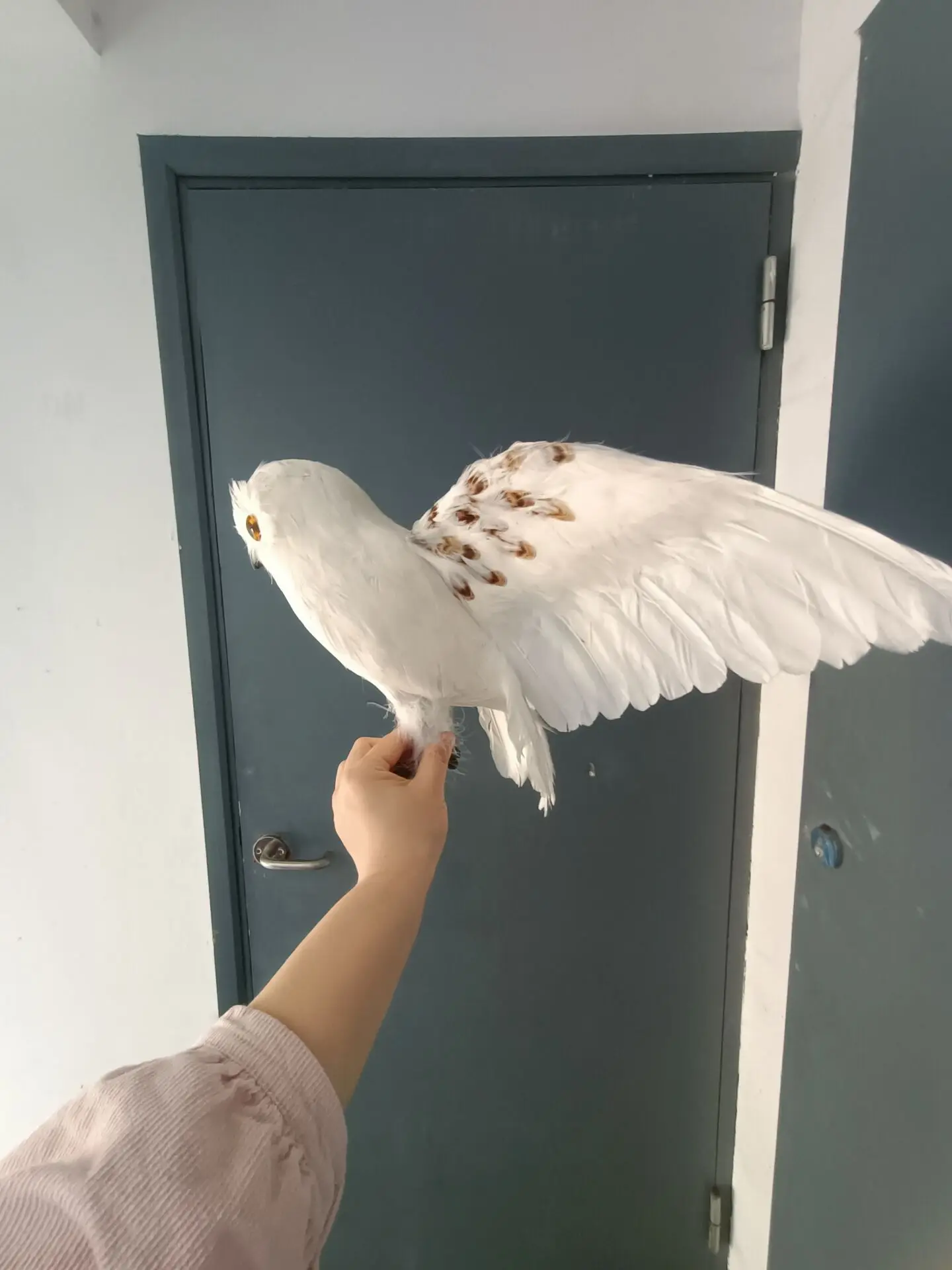 

big wings foam and feather white owl model garden decoration gift about 32x60cm a2786