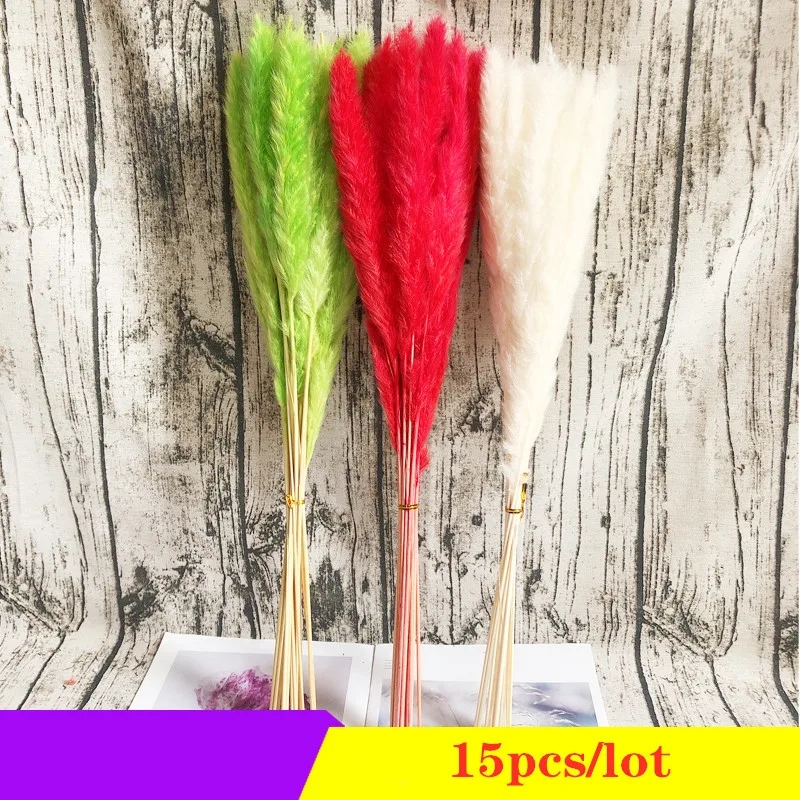 15Pcs /Lot Real Flower Natural Pampas Grass For Modern Home Decoration White，Pink，Black，Primary color，Red .No Vase