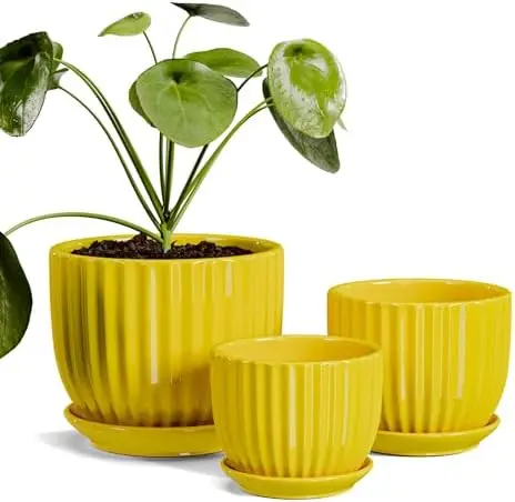 

Желтые керамические горшки для растений, набор из 3 предметов с подносом, 4,1 + 5,1 + 6,5 дюйма, дренажное отверстие для внутреннего декора из алоэ-кактуса