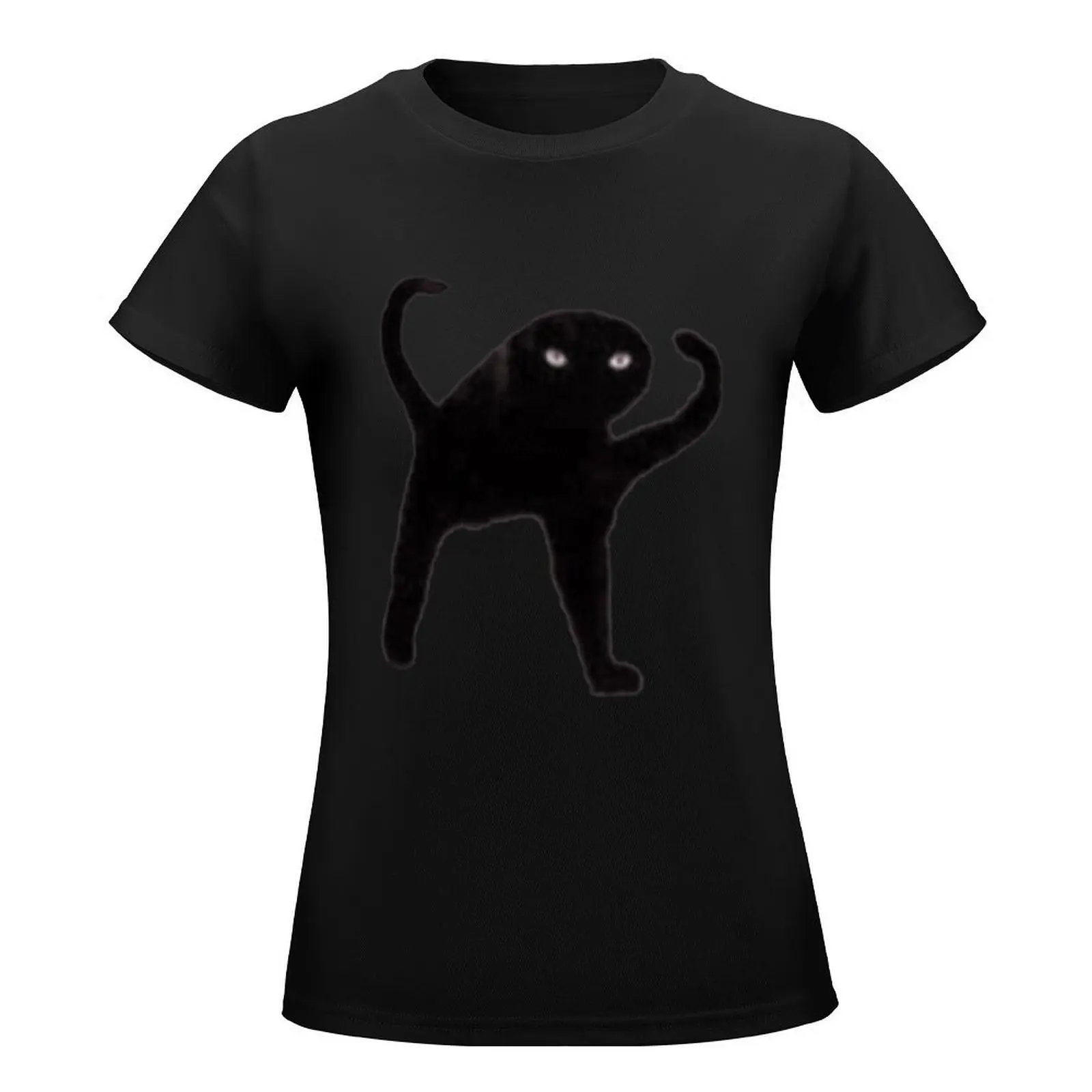 Cursed Cat T-Shirt graphics Short sleeve tee funny t-shirt dress for Women long