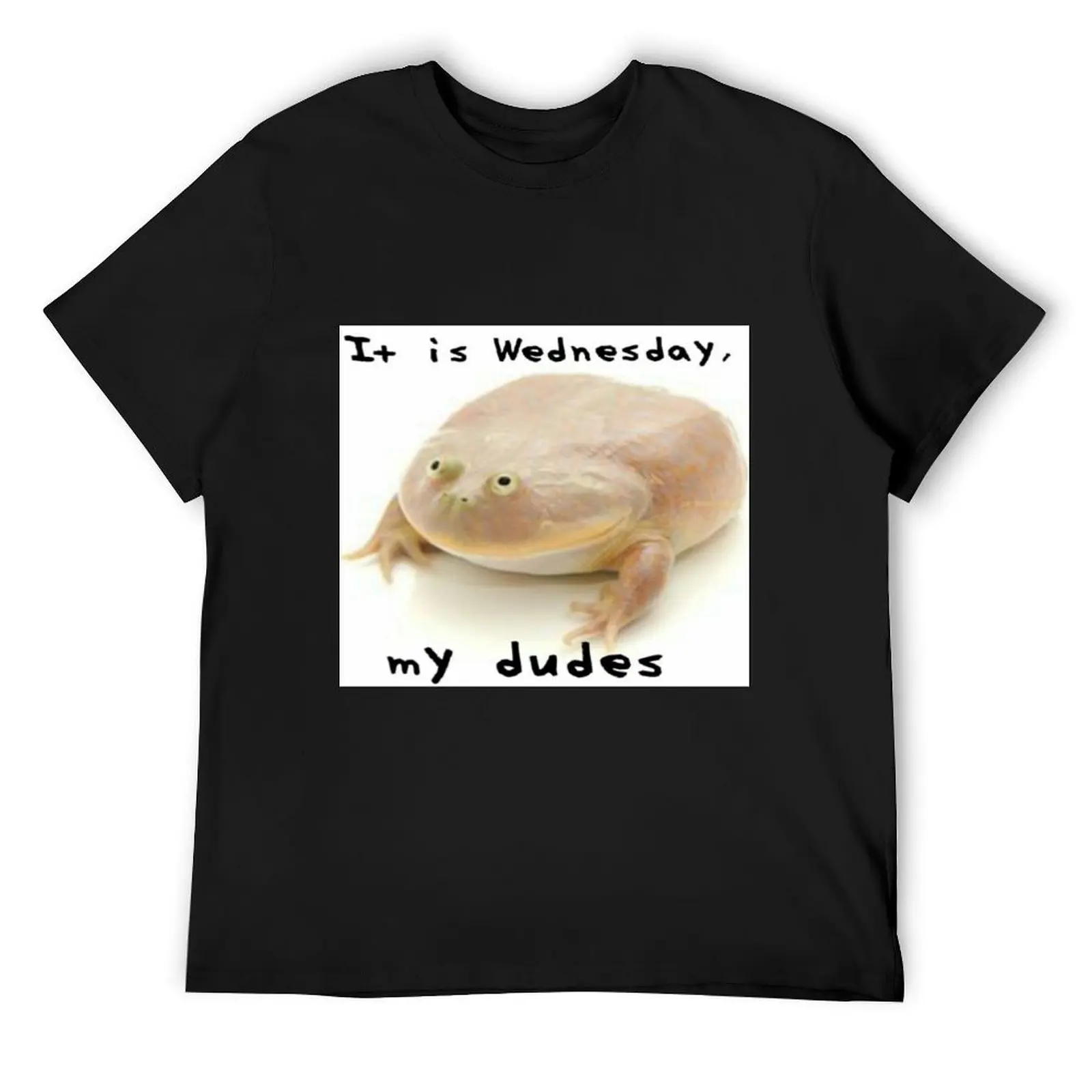 

It is Wednesday my dudes T-Shirt graphic shirts blue archive custom shirt men clothings