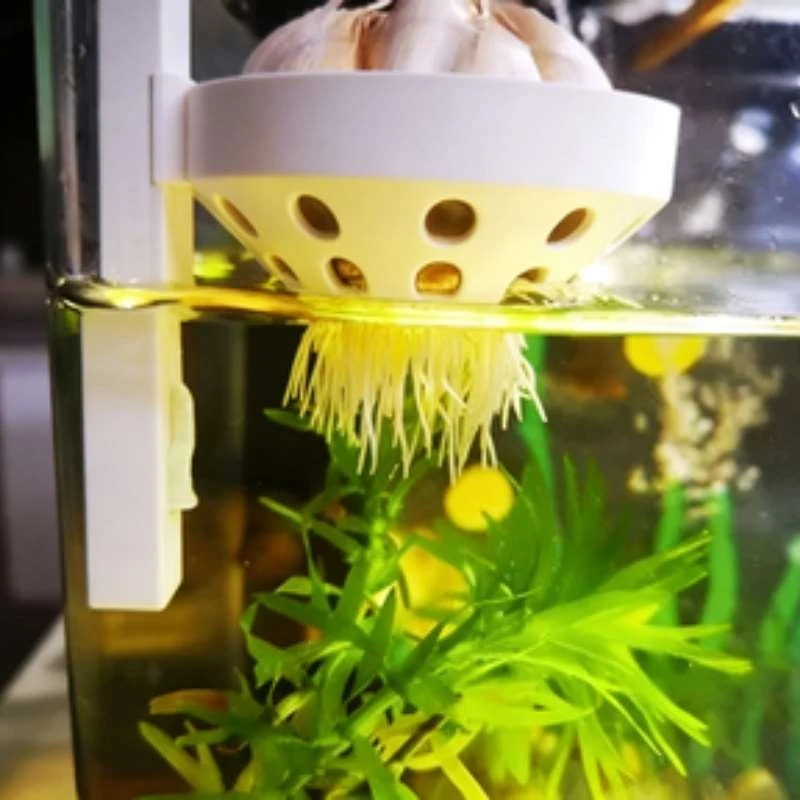 cesto-de-plantas-hidroponico-para-aquario-com-altura-ajustavel-para-tanques-de-peixes-de-ate-5mm-de-espessura