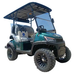 2026 New Gas Power Golf Buggies 2 4 6 seater 300CC 350CC Lifted Off Road Hunting Black Golf Cart