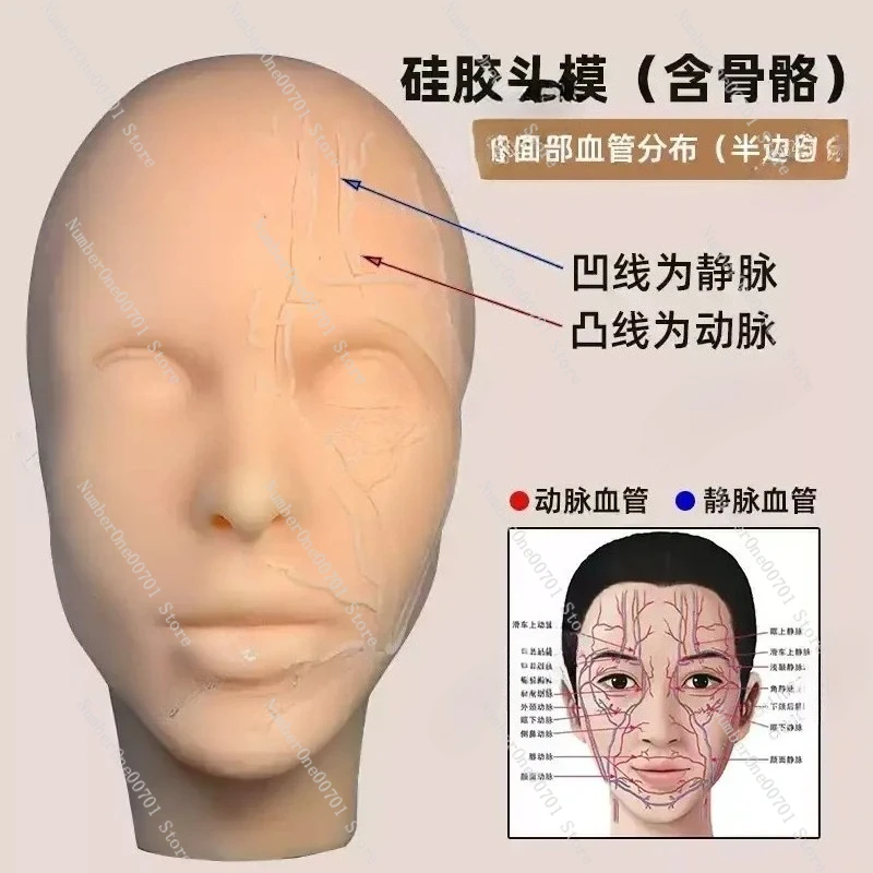 Skin Injection Model  Teaching Teaching Props Silicone Human Head
