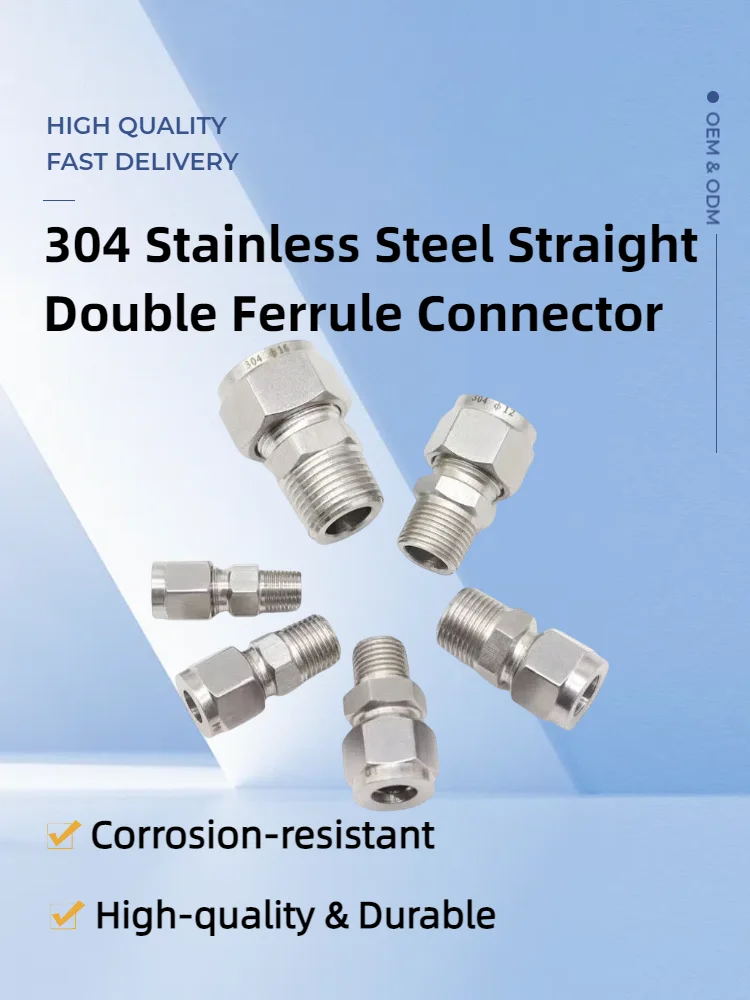 Connecteur de Compression à Double virole en acier inoxydable SS 304, Tube de 6mm 8mm 10mm 12mm 14mm 16mm 18mm 1/8 "1/4" 3/8 "1/2" à 1/8 "1/4" 3/8 "1/2" mâle BSPT, raccords de tuyaux