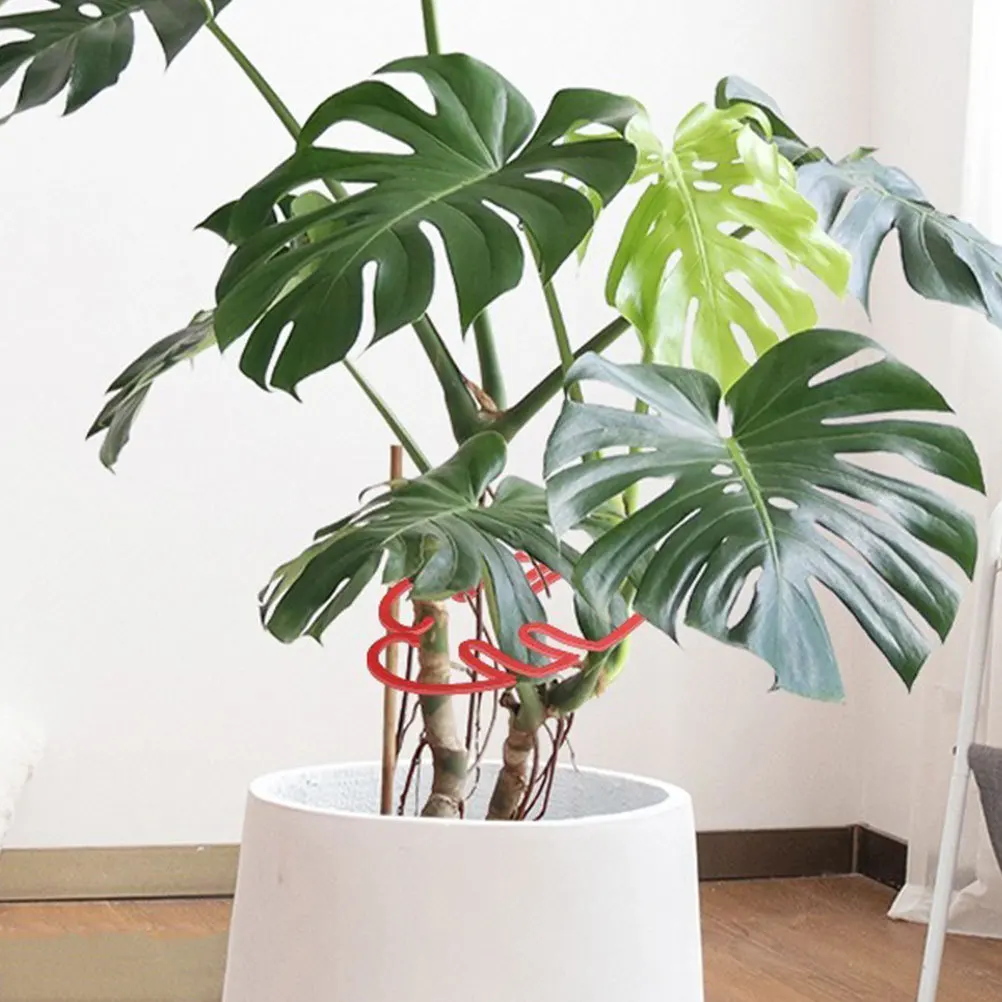 

3Sets Plant Support Sturdy Monstera Shaped Rings Indoor Outdoor Plant Stakes Leaf Holders Garden Trellis Climbing Frame