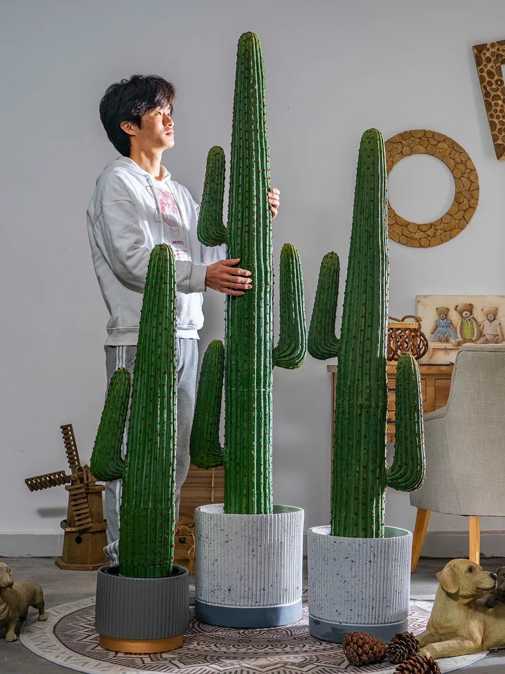 Large Simulation Cactus Fairy Column Measurement Sky Foot Fleshy
