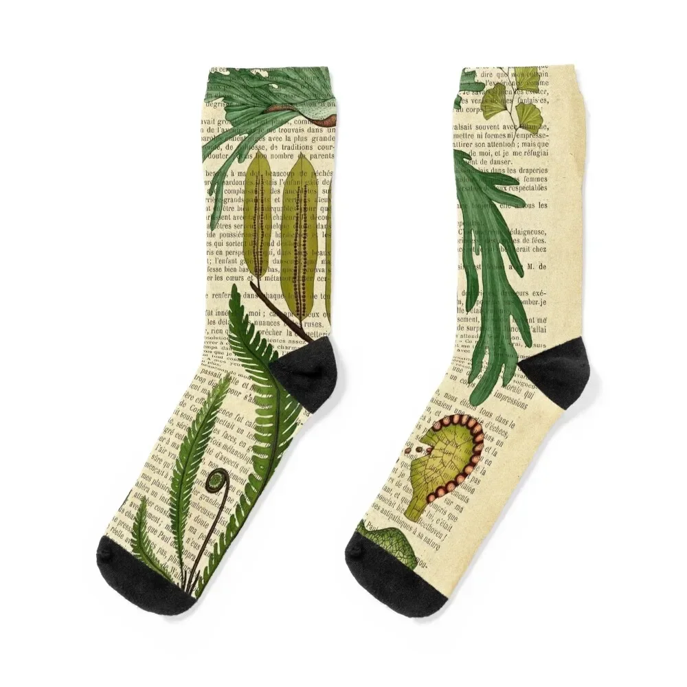 

Botanical print on old book page - fern Socks sport kawaii Men's Socks Luxury Women's