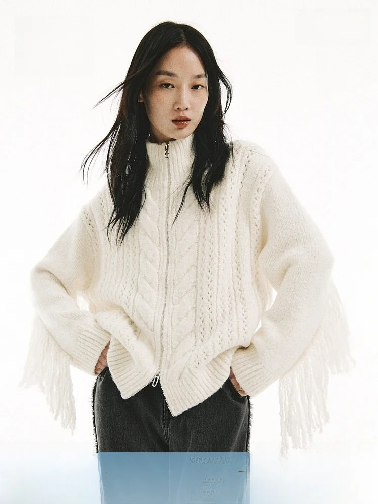 

H&M Spring Women's Tassel Design Zipper Open Cardigan Casual Sle Regular Thin Wool Polyester Spandex Acrylic Cotton Blend