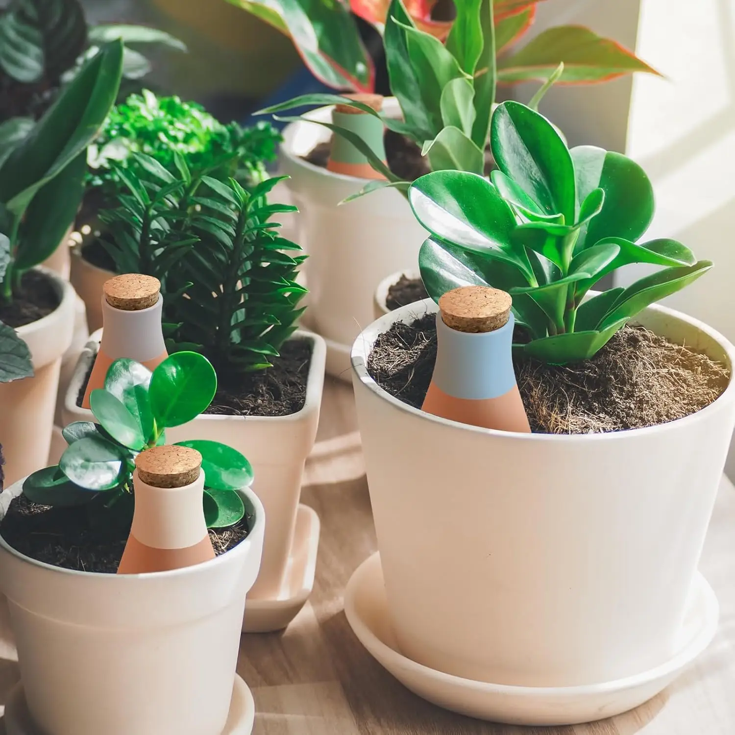 Thumbnail 2 - #28 Compare Watering Globes Before You Buy