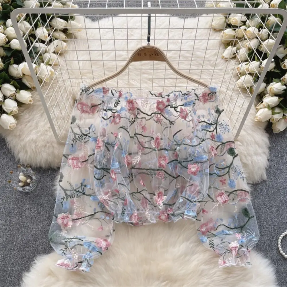 Netted Embroidered One-shoulder Top with Bubble Sleeves Short Style Long-sleeved Lace Top Loose Fit Sheer Blouse Top for Women