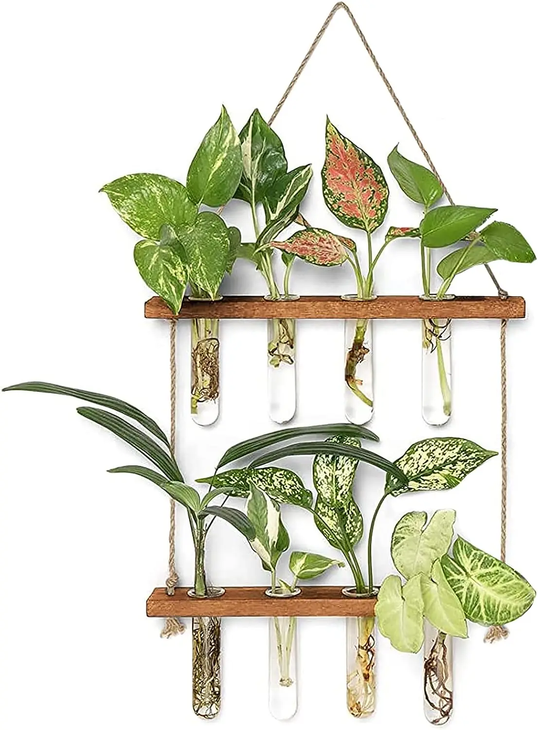 

Wall Hanging Test Tube, Glass Planter Plant Vase with Wooden Stand & Strings Rope, Glass Planter Plant Terrarium (2 layer)