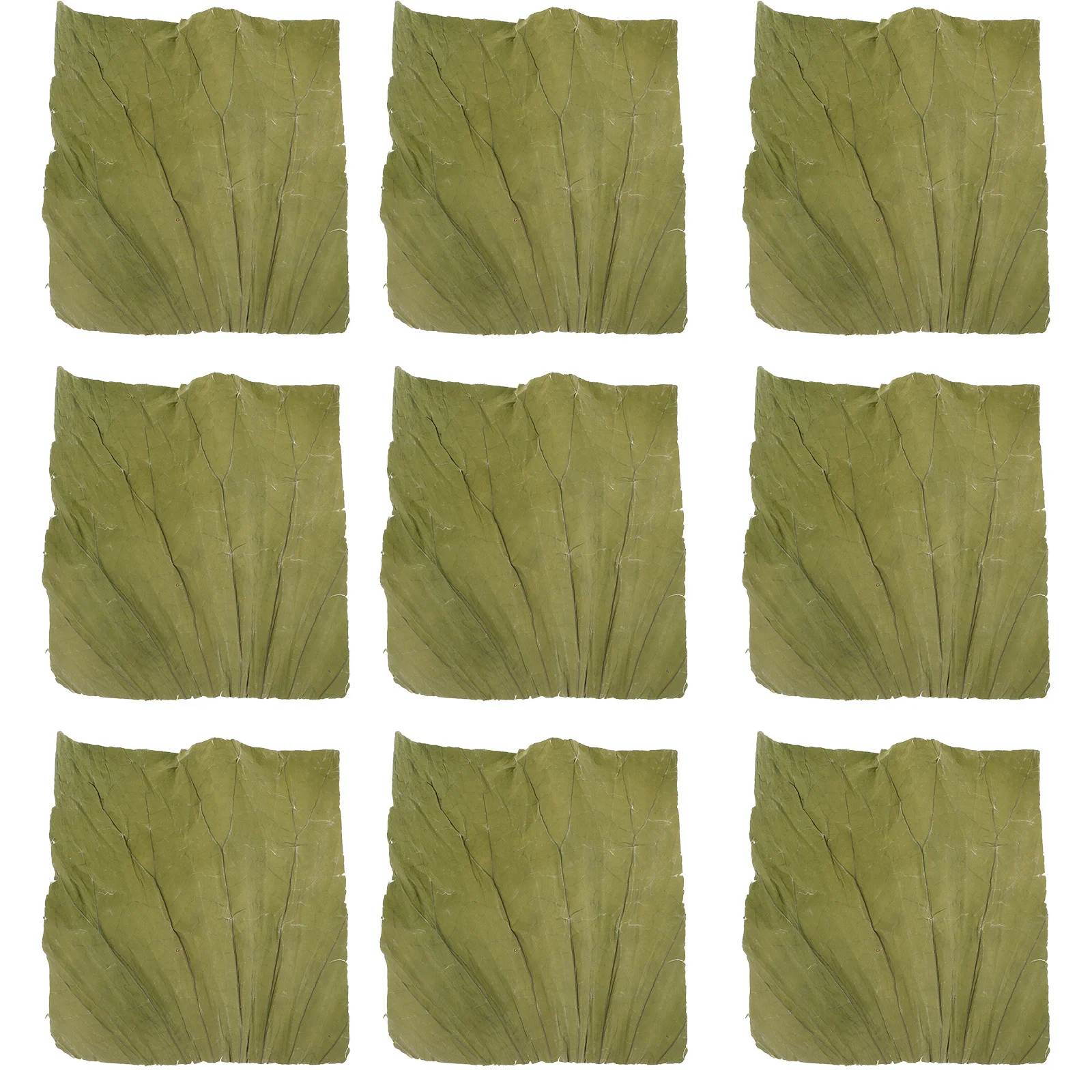 100 Uds. De hojas de loto secas naturales, revestimiento para plato de Sushi, hojas decorativas cuadradas para servir comida, cocina asiática