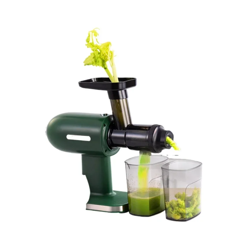 

New chewing multi-functional professional kitchen automatic slow juicer cold pressing horizontal slow juicer