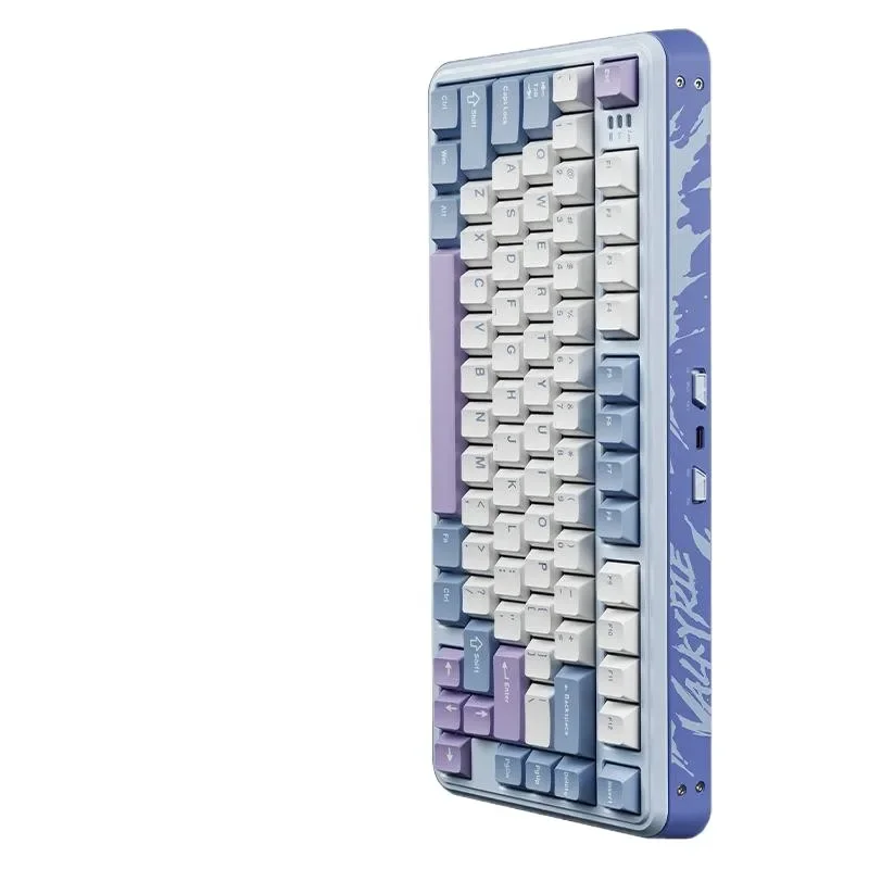 Mechanical Keyboard…