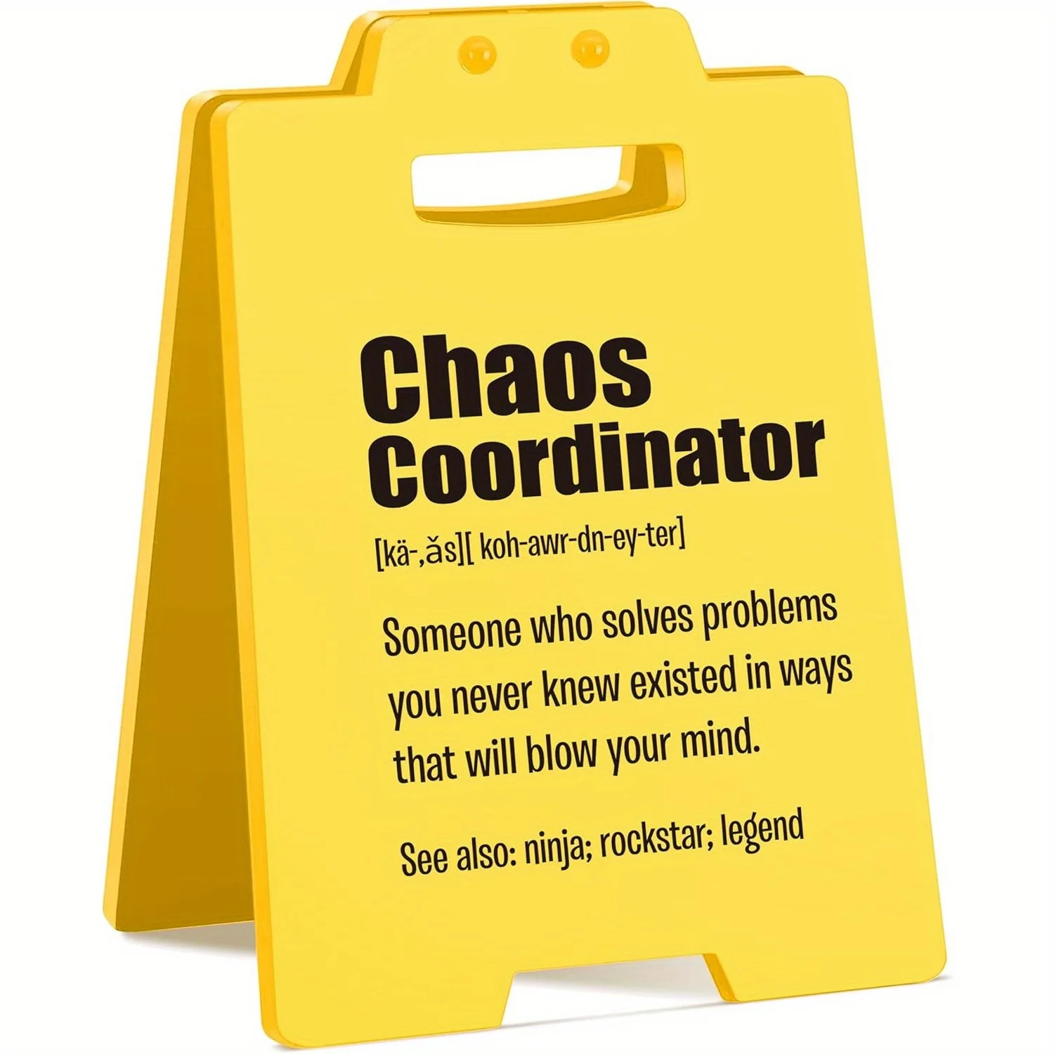 Chaos Coordinator Gifts | Funny Thank You Gift for Coworkers, Bosses, Managers, Teachers, Nurses Appreciation | Motivation Offic