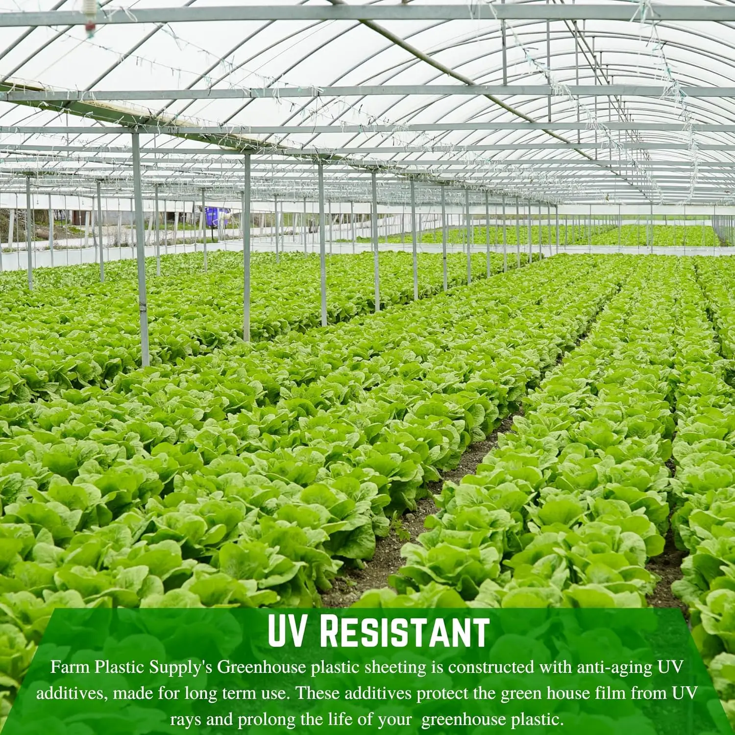 Farm Plastic Supply - String Reinforced 4 Year Uv Resistant 10 Mil Clear Greenhouse Plastic Sheeting - 4 Year Uv Resistant